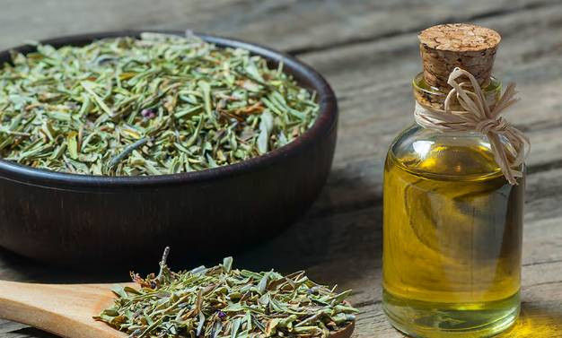 Bu baharat yoğurtla karışınca beyni iki kat hızlandırıyor - Resim: 4